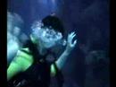 Epcot Divequest