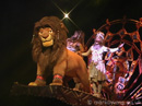 lionhong-video.jpg
