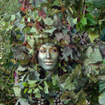 florida-day-05-title.jpg