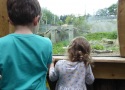 chessington-world-of-adventures-130