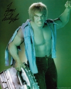 lou-ferrigno-signed-photograph