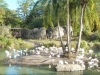 florida-2012-day-three-87-disneys-animal-kingdom