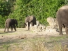 florida-2012-day-three-89-disneys-animal-kingdom