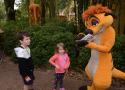 Florida-Day-11-016c-Disneys-Animal-Kingdom-Meeting-Timon-from-Lion-King-Photopass