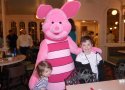 Florida-Day-13-115-Magic-Kingdon-Crystal-Palace-Character-Dining-Piglet