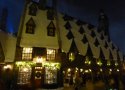 Florida-Day-14-379-Universal-Studios-Florida-Wizarding-World-of-Harry-Potter-Hogsmead-Islands-of-Adventure