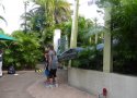 Florida-Day-15-119-Universal-Orlando-Islands-of-Adventure-Jurassic-Park-Raptor-Encounter