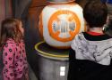 Florida-Day-17-148a-Disneys-Hollywood-Studios-Meeting-BB8-Photopass