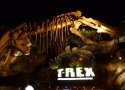 Florida-Day-18-415-Disney-Springs-T-Rex-Restaurant