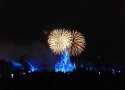 Florida-Day-19-243-Magic-Kingdom-Happily-Ever-After-Firework-Show