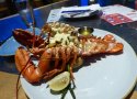 Florida-Day-20-035-EPCOT-Coral-Reef-Restaurant-Whole-Lobster