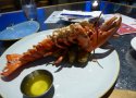 Florida-Day-20-041-EPCOT-Coral-Reef-Restaurant-Whole-Lobster