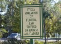 Florida-Day-25-018-Celebration