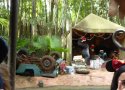Florida-Day-3-029-The-Magic-Kingdom-Jingle-Jungle-Cruise