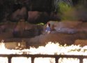 Florida-Day-4-317-Disneys-Hollywood-Studios-Fantasmic