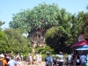 animal-kingdom-05.jpg