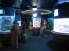 epcot-living-seas-40.jpg