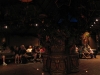 magic-kingdom-enchanted-tiki-room-07.jpg