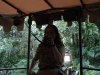 magic-kingdom-jungle-cruise-05.jpg