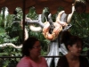 magic-kingdom-jungle-cruise-07.jpg