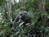 magic-kingdom-jungle-cruise-09.jpg