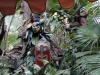 magic-kingdom-jungle-cruise-22.jpg