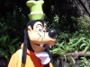 Magic Kingdom Goofy