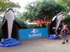 seaworld-adventure-parks.jpg