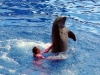 seaworld-blue-horizons-03.jpg