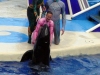 seaworld-blue-horizons-34.jpg