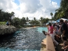 seaworld-dolphin-area-06.jpg