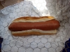 seaworld-hotdog.jpg