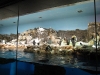 seaworld-penguin-encounter-06.jpg
