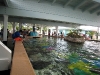 seaworld-stingray-lagoon-02.jpg