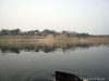 Sailing Down the Ganges