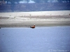 Sailing Down the Ganges