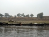 Sailing down the Ganges