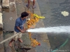 Ghats on the Ganges