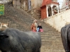 Ghats on the Ganges