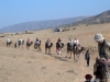 The Group on Camels