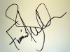 fiona-button-autograph.jpg