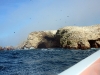peru-day-02-049-ballestas-islands