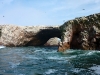 peru-day-02-054-ballestas-islands