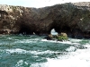 peru-day-02-060-ballestas-islands
