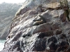 peru-day-02-065-ballestas-islands
