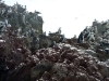 peru-day-02-078-ballestas-islands