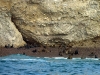 peru-day-02-084-ballestas-islands