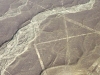 peru-day-02-137-nazca-lines