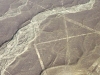 peru-day-02-137-nazca-lines