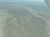 peru-day-02-143-nazca-lines